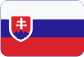 Establishment of companies in the Czech Republic Slovensky